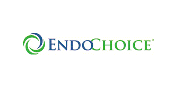 EndoChoice 标志采用蓝绿双色文字，配以同色系的圆形漩涡图标，整体置于白色背景之上。