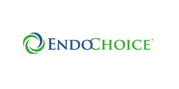 Blaues und grünes endochoice-Logo.