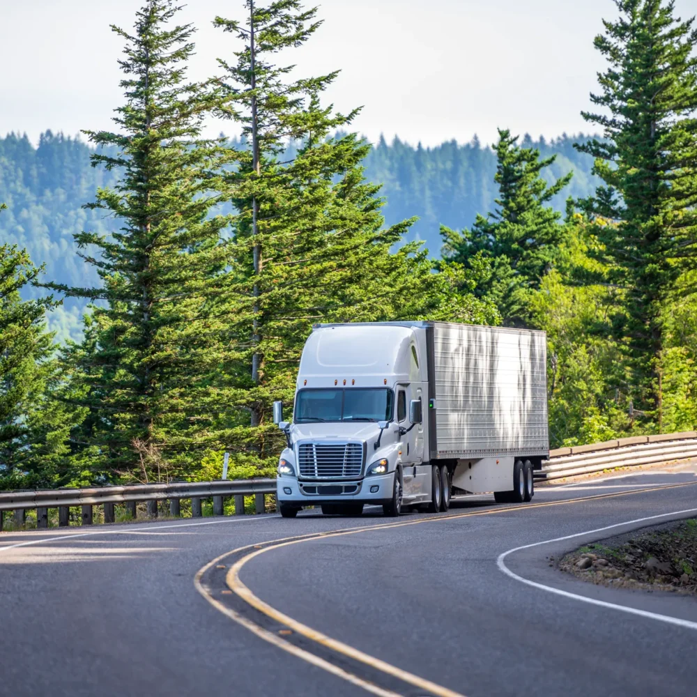 White semi-truck driving on a winding mountain road surrounded by tall evergreen trees under clear daylight, representing road freight transportation.