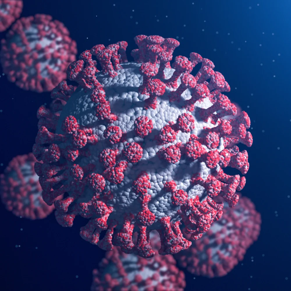 3D rendering of coronavirus (SARS-CoV-2) particles with red spike proteins on a gray spherical surface against a dark blue background.