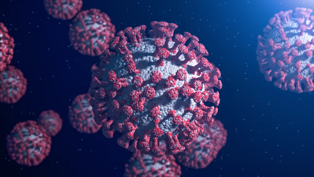 3D rendering of coronavirus (SARS-CoV-2) particles with red spike proteins on a gray spherical surface against a dark blue background.