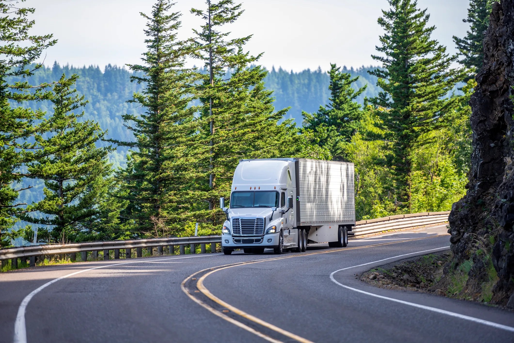 White semi-truck driving on a winding mountain road surrounded by tall evergreen trees under bright daylight.