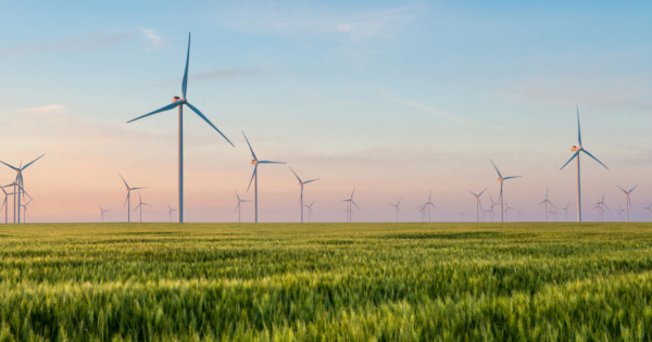 Wind turbines generating renewable energy in a green agricultural field under a clear sky.