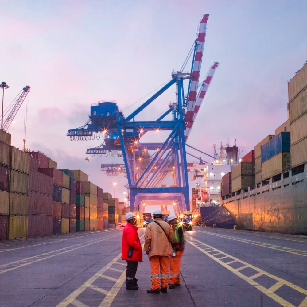 Port workers in safety gear standing between rows of stacked shipping containers with large blue cargo cranes and docked vessels in the background.