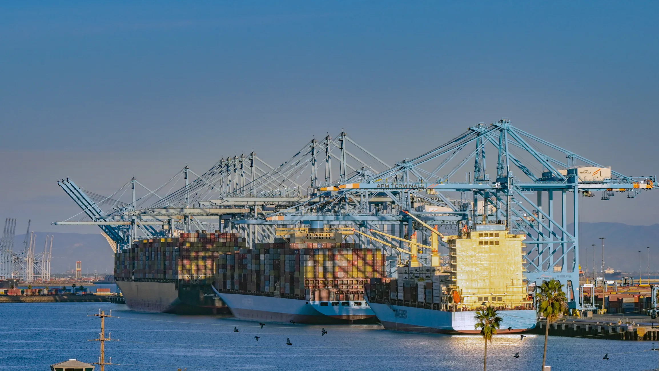 Two large container ships docked at a major U.S. port with multiple blue cargo cranes loading and unloading colorful shipping containers under clear skies.